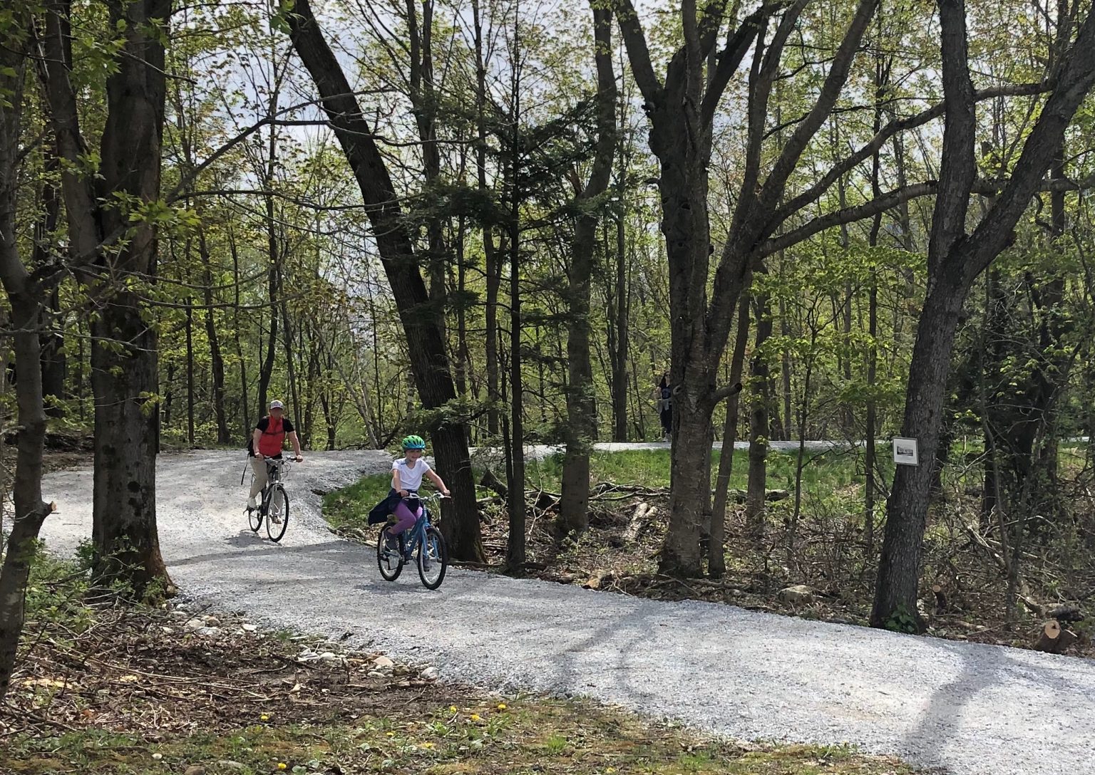 Historic Marble Rail Trail Bike Manchester VT